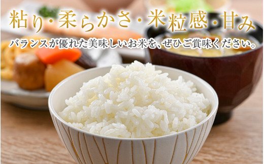 【令和7年産】いちほまれ 精米 5kg×1袋《お米マイスター厳選！発送直前に精米！》 ／ 福井県産 ブランド米 ご飯 白米 新鮮 [aw064-a022]