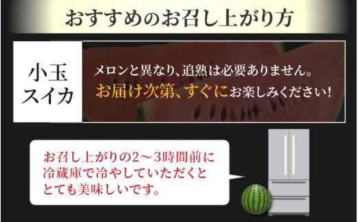 【先行予約】抜群の甘さ！佐藤農園の小玉スイカ 食べ比べセット(ひとりじめ+ひとりじめナノまたはピノガール) 2玉（計3kg以上）／ 秀品 農家直送 有機肥料 低農薬 ※2027年5月下旬～6月末の間に順次発送予定 [aw069-a013]
