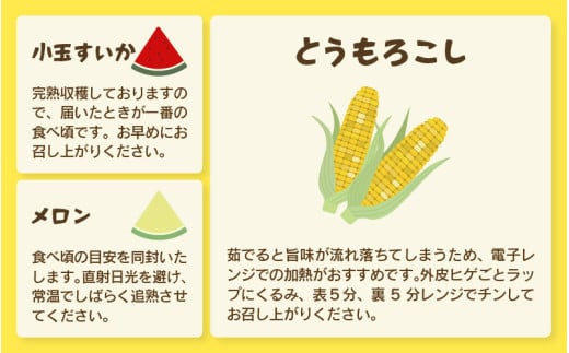 【先行予約】≪定期便/全3回≫フルーツ王国あわらのこだわり5品 農家直送 厳選品／ 期間限定 果物 フルーツ 青肉メロン 赤肉メロン 西瓜 とうもろこし 産地直送 ※2027年6月中旬より順次発送 [aw039-c002]