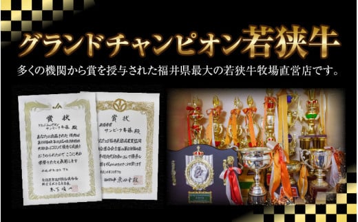 若狭牛の旨みを堪能！ 贅沢仕上げ  若狭牛 牛しぐれ煮 120g（約2人前）×3袋 ／ 国産 牛肉 A4 A5 ブランド牛 [aw009-a003]