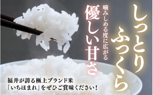 【令和7年産】いちほまれ 真空パック 精米 300g×6個 計1.8kg《ギフトにもおすすめ！化粧箱入り》／ 福井県産 ブランド米 白米 2合 [aw003-a013]