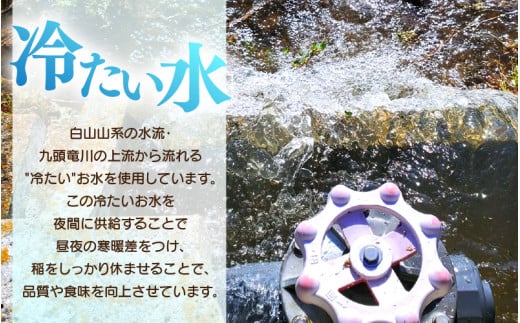 【先行予約】【令和8年産】 【9月上旬以降発送】華越前  無洗米 5kg / 米 5キロ ハナエチゼン はなえちぜん 北陸 福井県産 あわら市 ブランド米 白米 お米 コメ こめ kome ※2026年9月上旬以降順次発送 [aw056-a028_09]