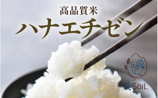 【先行予約】【令和8年産・新米】《定期便》特別栽培米 ハナエチゼン 低農薬 5kg×3回 15kg 《こだわり極上米》 / 福井県 あわら 北陸 米 お米 人気 ※2026年9月上旬以降順次発送 [aw032-d007]