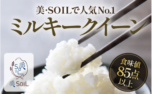 【先行予約】【令和8年産 新米】定期便《3ヶ月連続お届け》5kg×3回 15kg 特別栽培米 ミルキークイーン 精米 低農薬 《食味値85点以上！こだわり精米》 / 福井県 あわら市 北陸 米 お米 人気 白米 精米 ※2026年9月上旬より順次発送 [aw032-e005]
