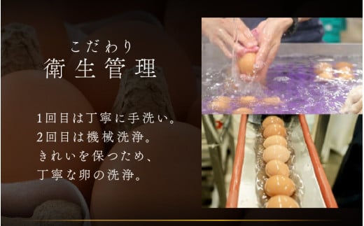 濃厚で甘くておいしい！ 福井ブランド「福地鶏」の卵 50個（25個入×2段） ／ 卵 たまご 鶏卵 生卵 有精卵 高級 高級卵 福地鶏 鶏 平飼い 美味しい こだわり 卵かけご飯 料理 あわら市 福井県産 [aw036-a002]