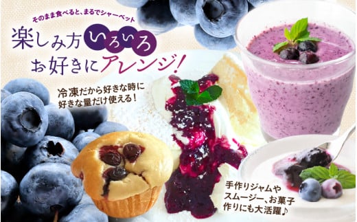 【先行予約】【訳あり】【冷凍】あわらフルーツランドのブルーベリー 800g （400g×2袋） 【完熟】 / フルーツ 果物 くだもの 福井県 あわら市 小分け 便利 たっぷり 完熟 ご当地 国産 おすすめ ※2026年8月上旬より順次発送 [aw091-a002]
