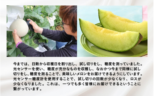 【先行予約】青肉ペルルメロン 秀品 1玉（1.7kg以上）【ネット系青肉メロン】《糖度16度程度！1株1果採りで育てる高級メロン！》／ 果物 フルーツ 農家直送 青肉 ネット系メロン ギフト 贈答用 ※2026年7月上旬より順次発送予定 [aw028-a006]