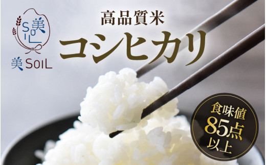 【先行予約】【令和8年産 新米】《定期便》5kg×12回 60kg 特別栽培米 コシヒカリ 低農薬 《食味値85点以上！こだわり極上米》 / 福井県 あわら 北陸 米 お米 人気 高品質 鮮度抜群 新米 ※2026年9月下旬より順次発送 [aw032-o006]