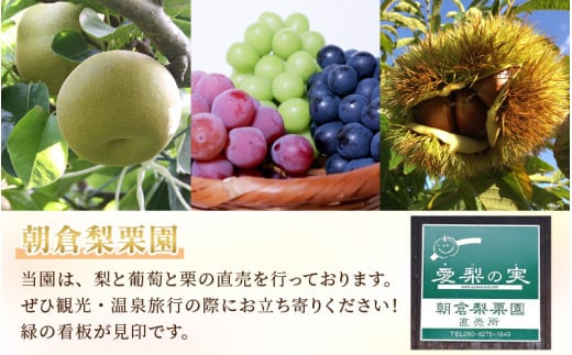 【先行予約】《数量限定》あきづき梨 3kg特選 5玉～6玉入り もぎたて 新鮮 ※2026年9月中旬より順次発送予定 [aw042-a005]