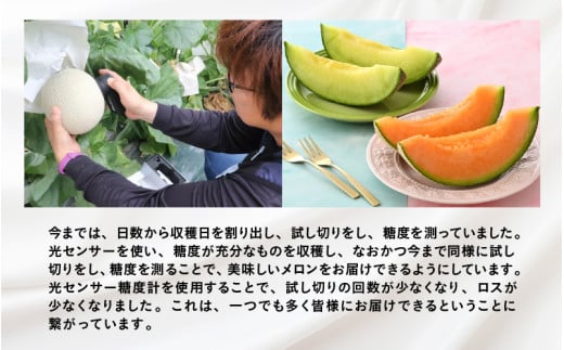 【先行予約】青肉ペルルメロン（1.7kg以上）赤肉パリスメロン（1.5kg以上 ）秀品 各1玉（計2玉）【ネット系＆アールス系メロン】《糖度16度程度！1株1果採りで育てる高級メロン！》／ 果物 フルーツ 農家直送 青肉 赤肉 セット ネット系マスクメロン アールスメロン ペルルメロン パリスメロンギフト 贈答用 ※2026年7月上旬より順次発送予定 [aw028-a002]