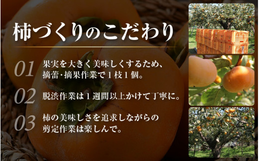 【先行予約】 越前柿 24個入 約4kg（M～2L）≪JA受賞歴親子２代≫ ／ 果物 フルーツ 柿 産地直送 期間限定 ※2026年11月上旬より順次発送 [aw061-a001]