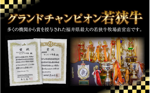 【偶数月全6回定期便】特上！若狭牛サーロインステーキ 200g×2枚 ／ ステーキ ステーキ肉 A4 A5 200g サーロイン サーロインステーキ 国産 若狭牛 牛肉 [aw009-n001]