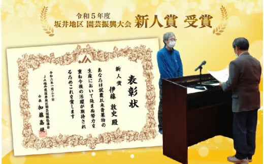 【先行予約】ペルルメロン 1玉（約2kg以上）青肉品種 高級メロン！ ／ マスクメロン 大玉 果物 フルーツ ギフト 農家直送 ※2026年6月下旬以降順次発送 [aw065-a006]