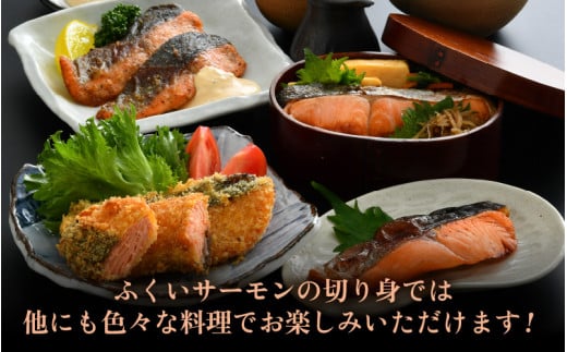 銀だら醤油漬け・明太サバ・ふくいサーモン切り身セット 計6切 《ビールやご飯のおかずにぴったりな人気3種セット！》／ 焼き魚 お子様OK お父さん おつまみ 朝食 弁当 明太子 魚介類 個包装 お取り寄せ 人気 数量限定 [aw002-a008]
