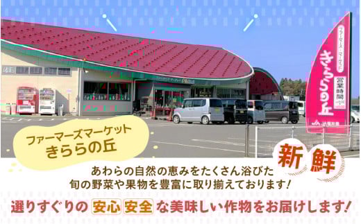 【令和7年産】いちほまれ 精米 10kg 《ギフトにもおすすめ！化粧箱入り》／ 福井県産 ブランド米 白米 贈り物 お取り寄せ [aw003-c001]