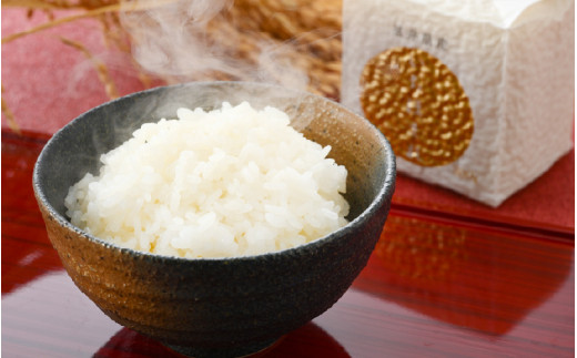 【令和7年産】いちほまれ 真空パック 精米 300g×9個 計2.7kg《ギフトにもおすすめ！化粧箱入り》／ 福井県産 ブランド米 白米 2合 [aw003-a014]