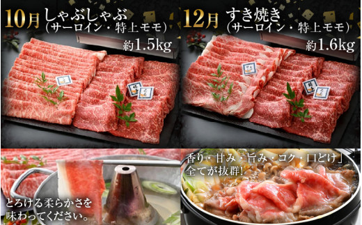 【偶数月定期便6回コース】若狭牛 特選和牛セット ／ 国産 牛肉 焼肉 モモブロック ステーキ しゃぶしゃぶ すき焼き ブランド牛 贅沢  A4 A5 ギフト [aw009-r001]