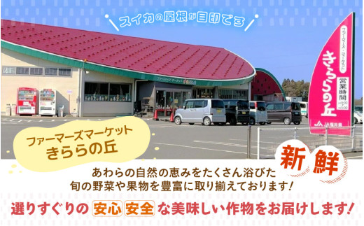 【先行予約】アンデスメロン 花咲乙女 3～5玉入 《甘くまろやか！青肉で果汁たっぷり》／ 期間限定 果物 フルーツ 産地直送 ※2027年6月下旬より順次発送 [aw003-a008]