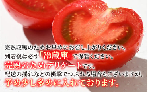 【先行予約】ミディトマト 越のルビー 約2kg 10パック（8パック＋品質補償2パック）／ 福井県産 ブランド トマト 福井県産ブランドトマト 農家直送 有機肥料 低農薬 完熟 甘い ※2026年9月下旬より順次発送 [aw069-a005]