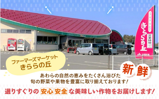 【令和7年産】いちほまれ 真空パック 精米 300g×6個 計1.8kg《ギフトにもおすすめ！化粧箱入り》／ 福井県産 ブランド米 白米 2合 [aw003-a013]