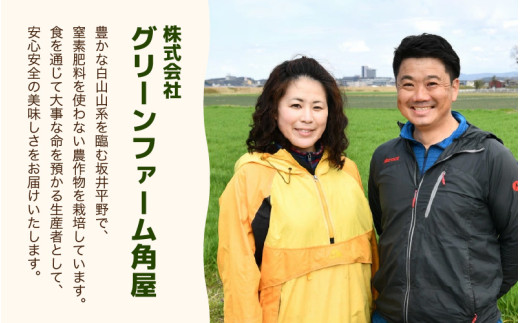 【先行予約】おでんセット 600g×3袋（3人前）《田んぼで育てた大根と麹のまろやかな旨味つゆが自慢！》／ おでん 大根 たまご 卵 鍋 冬 湯煎 温めるだけ 詰め合せ 簡単 時短 便利 農家直送 ※2026年11月下旬以降順次発送予定 [aw056-a007]