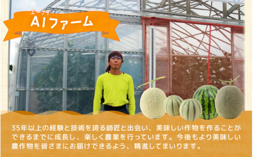 【先行予約】《定期便全5回》フルーツ大満足定期便 ／ すいか マスクメロン 高級メロン 大玉 果物 フルーツ 夏 ギフト 農家直送 ※2027年6月上旬以降発送  [aw065-d001]