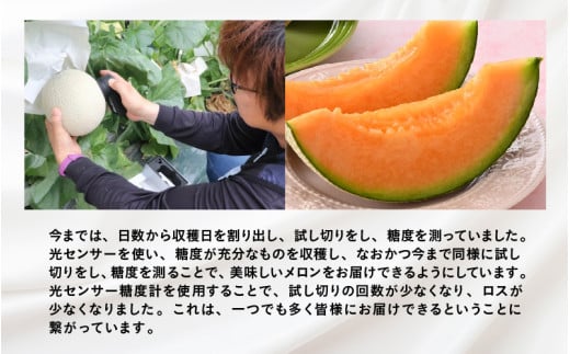 【先行予約】赤肉パリスメロン 秀品 2玉（1.5kg以上×2玉）【アールス系赤肉メロン】《糖度16度程度！1株1果採りで育てる高級メロン！》／ 果物 フルーツ 農家直送 赤肉 マスクメロン アールスメロン ギフト 贈答用 ※2026年7月上旬より順次発送予定 [aw028-a003]
