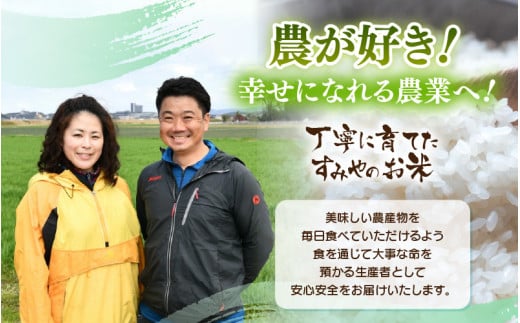 【先行予約】【令和8年産】 【9月上旬以降発送】華越前  無洗米 5kg / 米 5キロ ハナエチゼン はなえちぜん 北陸 福井県産 あわら市 ブランド米 白米 お米 コメ こめ kome ※2026年9月上旬以降順次発送 [aw056-a028_09]