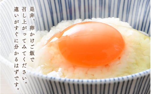 濃厚で甘くておいしい！ 福井ブランド「福地鶏」の卵 50個（25個入×2段） ／ 卵 たまご 鶏卵 生卵 有精卵 高級 高級卵 福地鶏 鶏 平飼い 美味しい こだわり 卵かけご飯 料理 あわら市 福井県産 [aw036-a002]