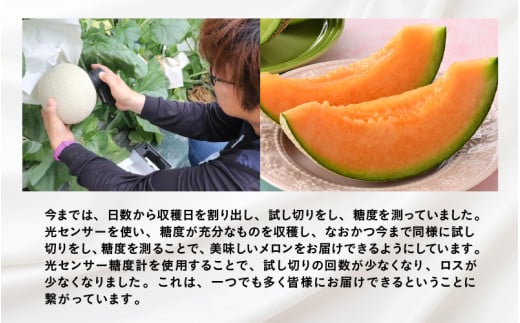 【先行予約】赤肉パリスメロン 秀品 1玉（1.5kg以上）【アールス系赤肉メロン】《糖度16度程度！1株1果採りで育てる高級メロン！》／ 果物 フルーツ 農家直送 赤肉 マスクメロン アールスメロン ギフト 贈答用 ※2026年7月上旬より順次発送予定 [aw028-a005]