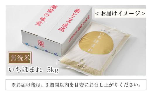 【令和7年産】いちほまれ 無洗米 5kg×1袋  ／ 福井県産 ブランド米 ご飯 白米 新鮮 [aw064-a024]