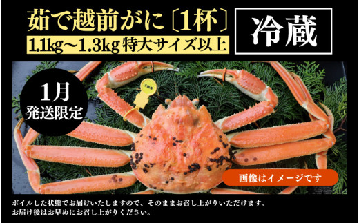 【先行予約】【1月発送限定】茹で越前がに 1杯 1.1kg～1.3kg《新鮮！茹でたてを発送》／ 高級 福井 ブランド ズワイガニ 黄色タグ ボイル 冷蔵 蟹 カニ 期間限定 【最終受付1月28日まで】※2027年1月上旬～2027年1月下旬で発送 [aw002-x004_01]