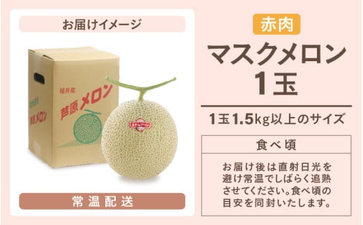 【先行予約】赤肉マスクメロン（1.5kg以上 1玉入）味も見た目も抜群！アールスメロン  / 期間限定 果物 フルーツ 産地直送 赤肉 人気 ギフト 贈答 ※2026年7月上旬より順次発送 [aw039-a016]