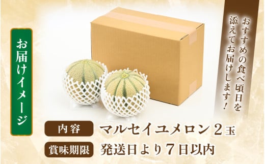 【先行予約】マルセイユメロン 2玉 約2.4kg（約1.2kg以上×2玉）大人気の赤肉品種！高級メロンの味わい ／ 果物 フルーツ ギフト 農家直送 ※2026年6月上旬以降順次発送 [aw065-a005]
