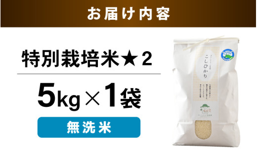 【令和7年産】 特別栽培米 コシヒカリ 無洗米 5kg 低農薬 / 北陸 福井県産 あわら市 ブランド米 白米 お米 コメ 特栽米 [aw056-a025]
