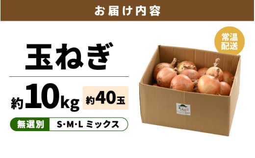 【先行予約】玉ねぎ 10kg（サイズ S M L ミックス）田んぼで育てた甘くて柔らか自慢の玉ねぎ！／ 野菜 万能 料理 常備 玉葱 BBQ たまねぎ 玉ネギ サラダ スープ ※2026年7月上旬より順次発送予定 [aw056-a022]