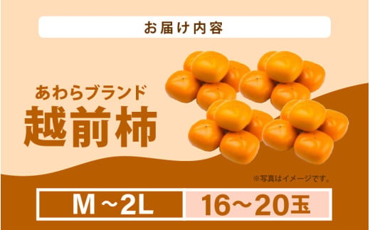 【先行予約】越前柿 16～20玉入 M～2L 《種なしで食べやすく甘い！》 あわらブランド ／ 期間限定 果物 フルーツ 産地直送 旬 お取り寄せ ※2026年10月中旬以降順次発送 [aw003-a006]