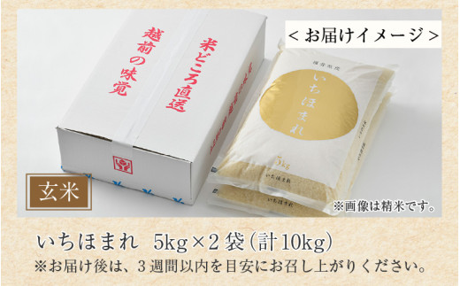 【令和7年産】いちほまれ 玄米 5kg×2袋（計10kg）《新鮮な高品質米をお届け！》／ 福井県産 ブランド米 ご飯 [aw064-b013]