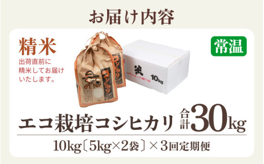 【先行予約】【令和8年産 新米】《定期便3回》エコ栽培コシヒカリ 白米10kg（5kg×2袋）計30kg ／ 鮮度抜群 福井県産 こしひかり ご飯 新鮮 白米 ※2026年10月上旬以降順次発送 [aw063-f010]