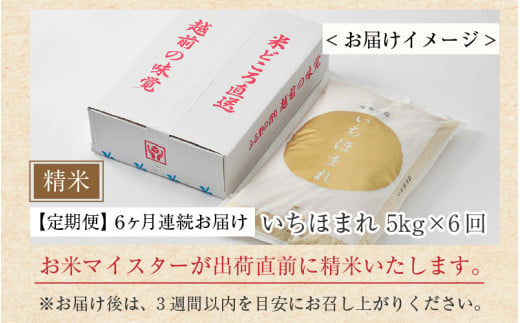 【令和7年産】定期便6回 いちほまれ 精米 5kg×6回（計30kg）《お米マイスターが発送直前に精米！》 ／ 福井県産 ブランド米 ご飯 白米 新鮮 [aw064-i004]