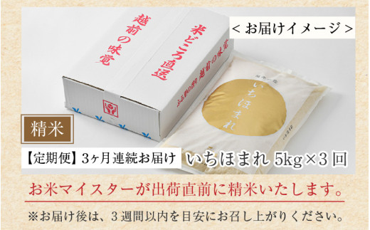 【令和7年産】定期便3回 いちほまれ 精米 5kg×3回（計15kg）《お米マイスターが発送直前に精米！》／ 福井県産 ブランド米 ご飯 白米 新鮮 [aw064-d008]