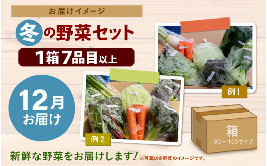 【先行予約】農家直送 冬野菜セット 1箱 7品目以上 《元気に育った新鮮野菜！》※2026年12月上旬以降発送 [aw028-a011]