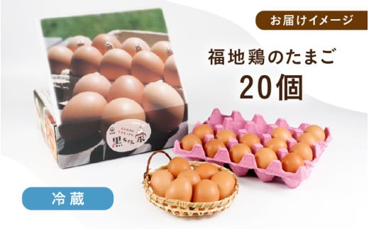 濃厚で甘くておいしい！ 福井ブランド「福地鶏」の卵 20個 ／ 卵 たまご 鶏卵 生卵 有精卵 高級 高級卵 福地鶏 鶏 平飼い 美味しい こだわり 卵かけご飯 料理 あわら市 福井県産 [aw036-a003]