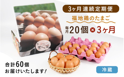 【3ヶ月連続お届け】 福井ブランド 「福地鶏」 の卵 20個 濃厚で甘くておいしい！ 定期便 ／ 卵 たまご 鶏卵 生卵 有精卵 高級 高級卵 福地鶏 鶏 平飼い 美味しい こだわり 3ヶ月 定期便 卵かけご飯 料理 あわら市 福井県産 [aw036-b001]