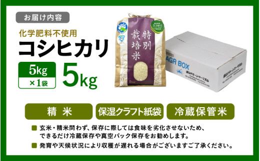 【令和7年産】 化学肥料不使用コシヒカリ  精米5kg（5kg×1袋） / 白米 米 福井県あわら市産 美味しい 特別栽培米 減農薬 安心な米 旨味 甘み もっちり エコファーマー こしひかり 冷蔵保管米 [aw010-a030]