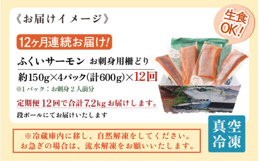 《定期便12回》ふくいサーモン 柵どり 150g×4パック 計600g ＜鮮度抜群！真空冷凍＞ ／ 生食OK 刺身 鮭 国産 [aw002-o001]