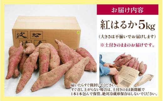 【先行予約】あわら市波松産 紅はるか 5kg / 厳選 不揃い さつまいも 土付き 熟成 焼き芋 福井県 薩摩芋 密芋 スイートポテト しっとり ほっくり 自然のスイーツ 極甘 農研機構許諾済 メディアで人気 腸活 ※2026年10月上旬以降順次発送予定 [aw084-a002]