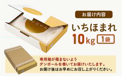 【令和7年産】いちほまれ 精米 10kg 《ギフトにもおすすめ！化粧箱入り》／ 福井県産 ブランド米 白米 贈り物 お取り寄せ [aw003-c001]