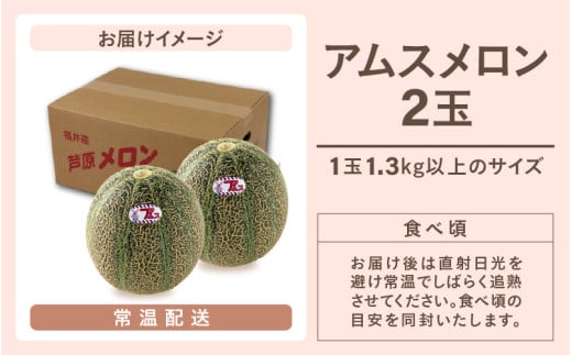 【先行予約】アムスメロン（1.3kg以上 2玉入) とろけるような果肉が絶品！ / 期間限定 果物 フルーツ 産地直送 青肉 人気 ※2027年6月下旬より順次発送 [aw039-a018]