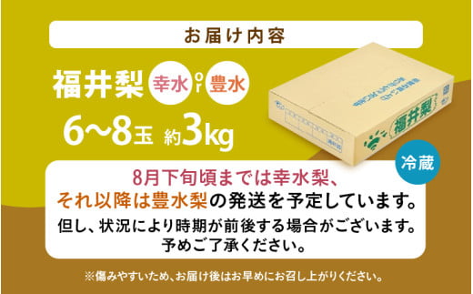 【先行予約】福井梨 3kg 6～8玉入 《幸水梨 豊水梨どちらかのお届け！》 ／ 期間限定 果物 フルーツ 産地直送 旬 お取り寄せ ※2026年8月下旬以降発送 [aw003-a009]